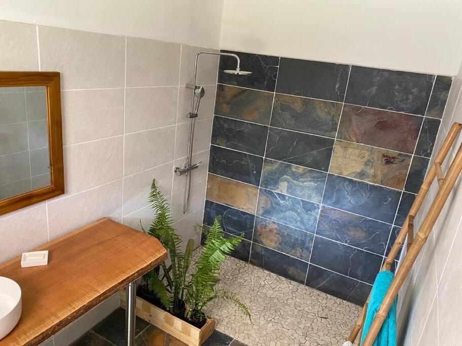 Apartament Zayann Zen Gourbeyre Zewnętrze zdjęcie