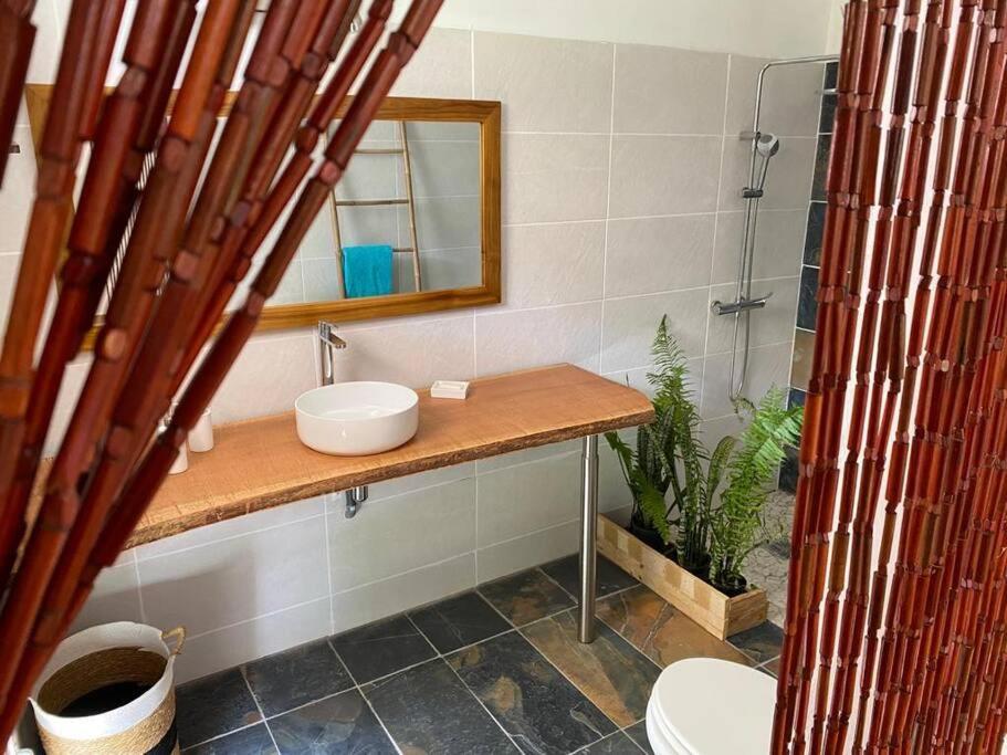 Apartament Zayann Zen Gourbeyre Zewnętrze zdjęcie